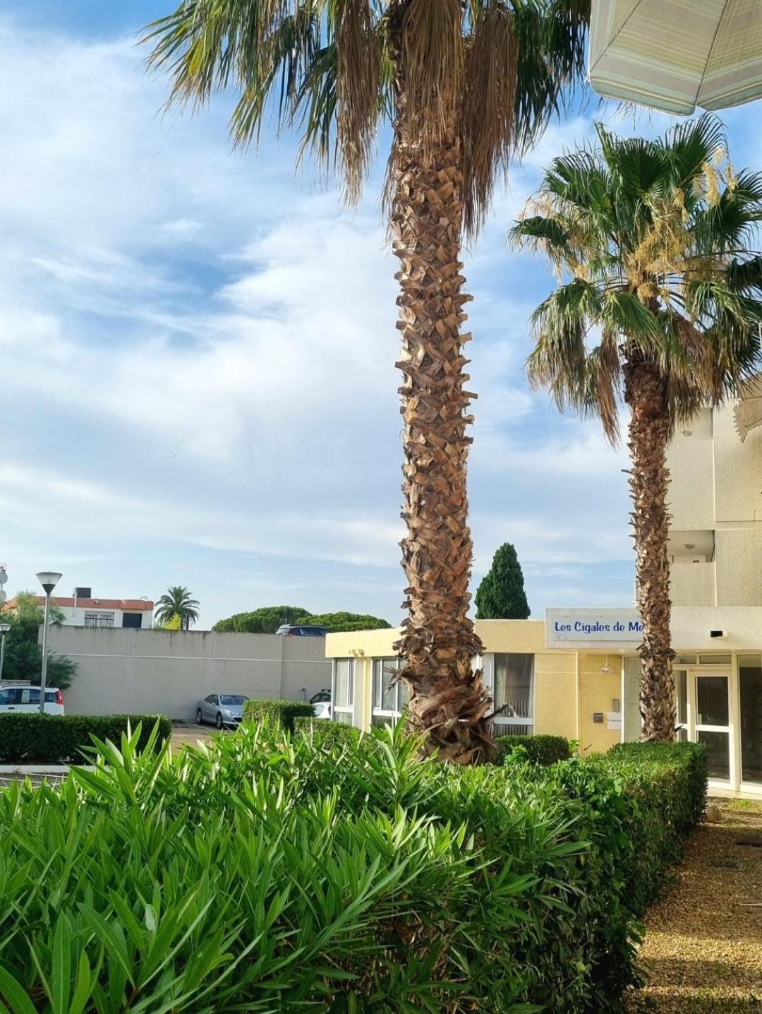 100 M De La Plage - Les Cigales De Mer - Studio Cabine - Parking ル・グロー・デュ・ロワ エクステリア 写真
